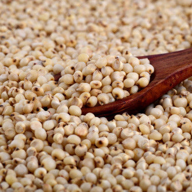 Organic Jowar (Sorghum)