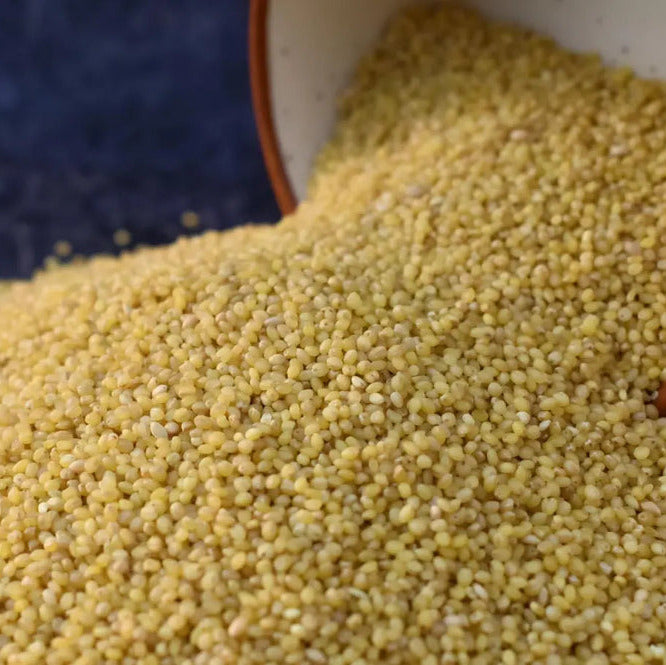 Organic Foxtail Millet