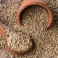 Organic Bajra (Pearl Millet)