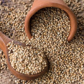 Organic Bajra (Pearl Millet)