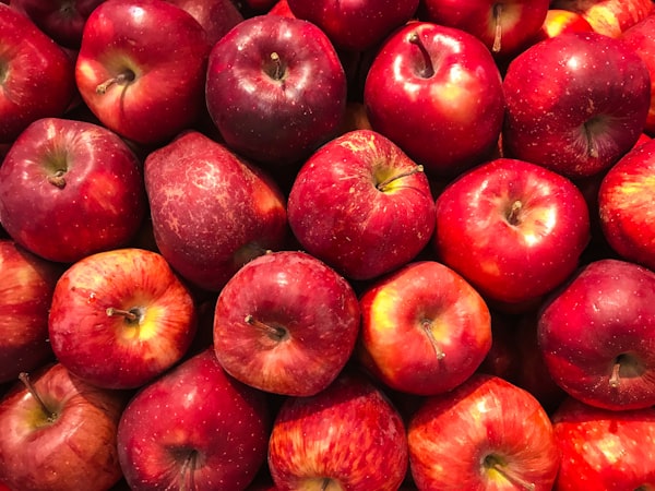 Freeze Dried Apple Slices