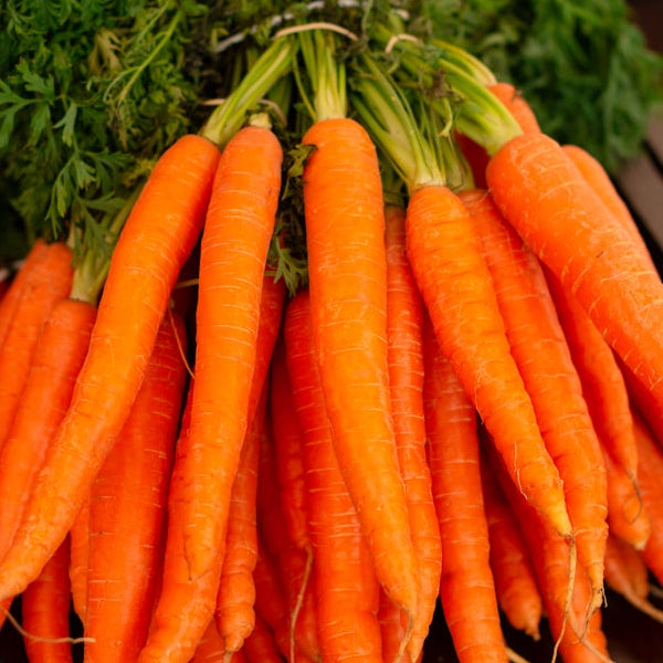 Freeze Dried Carrot Flakes